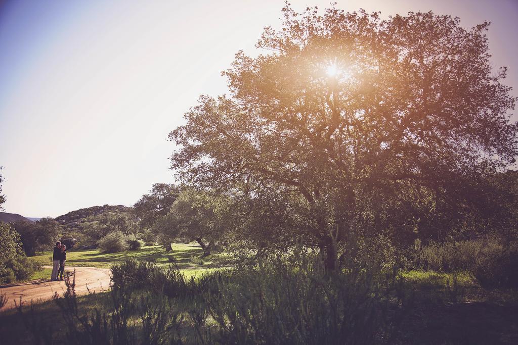 Hotel Boutique Rancho Tecate Ngoại thất bức ảnh